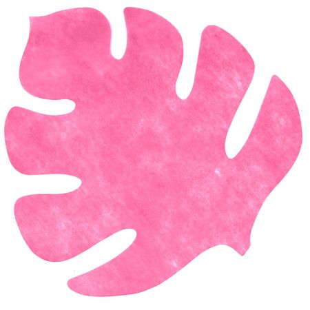 Set de Table feuille Fushia