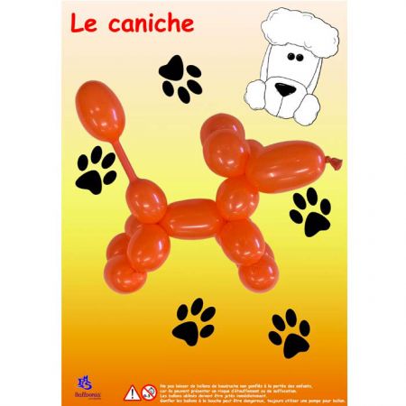 Ballons à modeler kit caniche