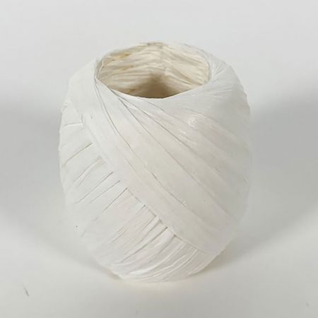 Ruban papier Raphia (divers coloris)