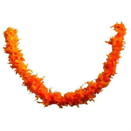 Boa Plumes 1,80m 50g Orange